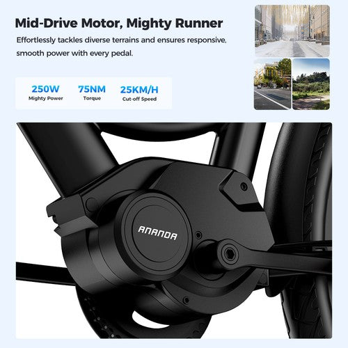 Foride Urbano 2 Electric Bike Foride Urbano 2 Electric Bike